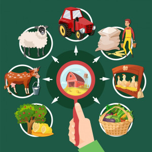 BCO Farm & Agric-Aid